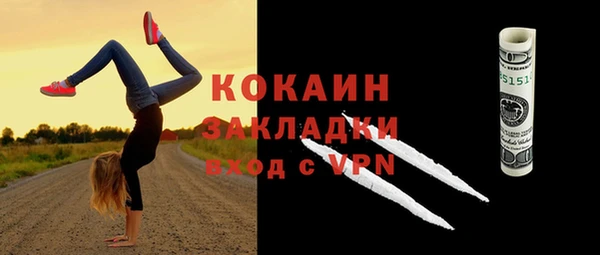 соль ск Дмитровск