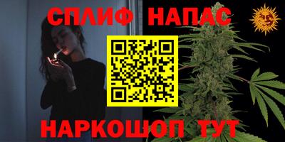 jwh Будённовск