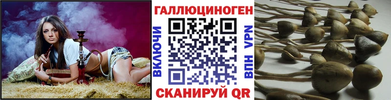 Галлюциногенные грибы мицелий  blacksprut онион  Ирбит 