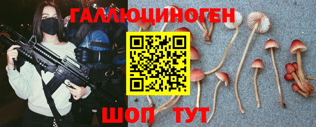 Галлюциногенные грибы Psilocybine cubensis  Ирбит 