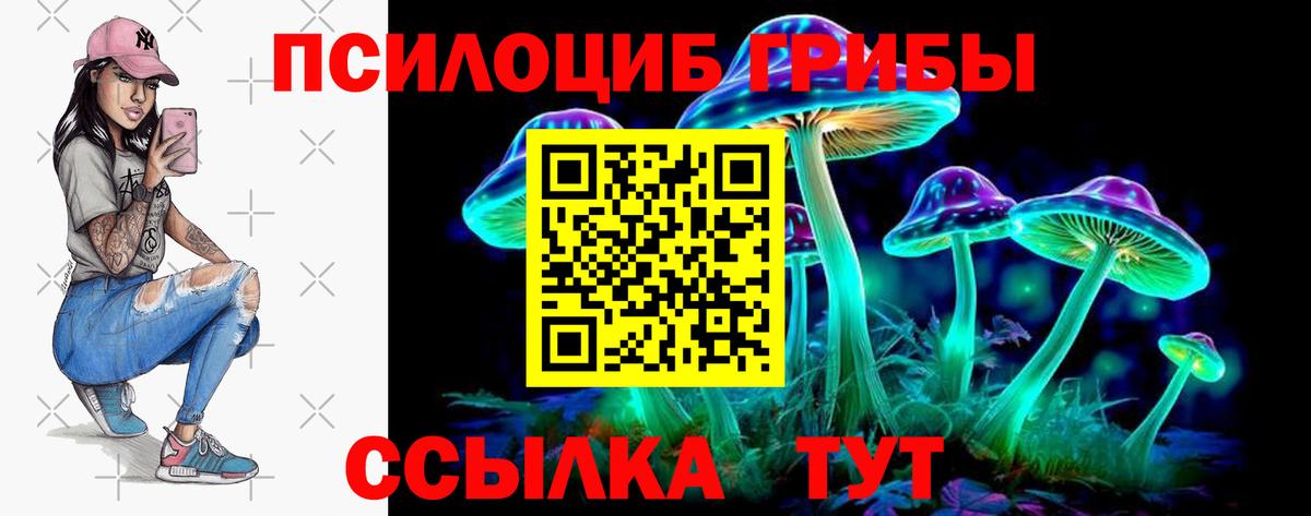 Ирбит  где найти   Вход с VPN  Галлюциногенные грибы Magic Shrooms 